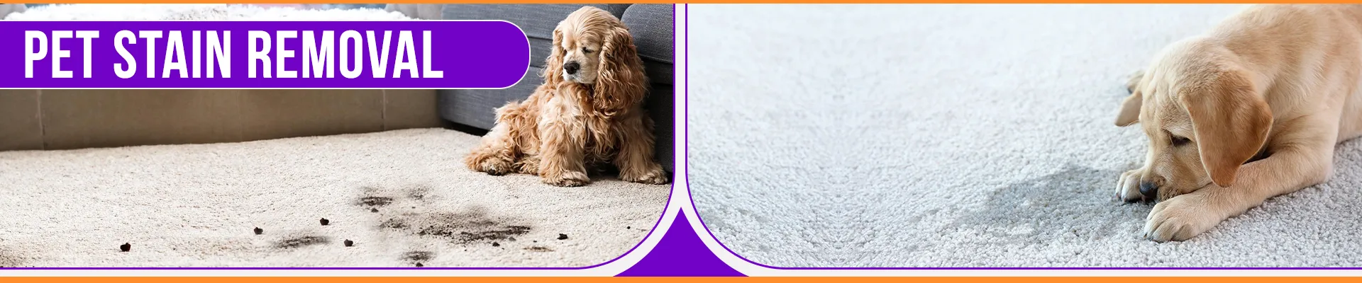 carpet cleaning in Westchester, carpet cleaning in Westchester, carpet cleaning Westchester, carpet cleaners in Westchester, carpet cleaners in Westchester, commercial carpet cleaning, commercial carpet cleaning in Westchester, Westchester rug cleaners, rug cleaning services in Westchester, same day carpet cleaning, same day rug cleaning