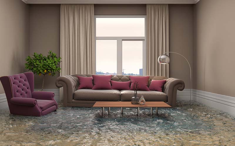 carpet cleaning in Westchester, carpet cleaning in Westchester, carpet cleaning Westchester, carpet cleaners in Westchester, carpet cleaners in Westchester, commercial carpet cleaning, commercial carpet cleaning in Westchester, Westchester rug cleaners, rug cleaning services in Westchester, same day carpet cleaning, same day rug cleaning