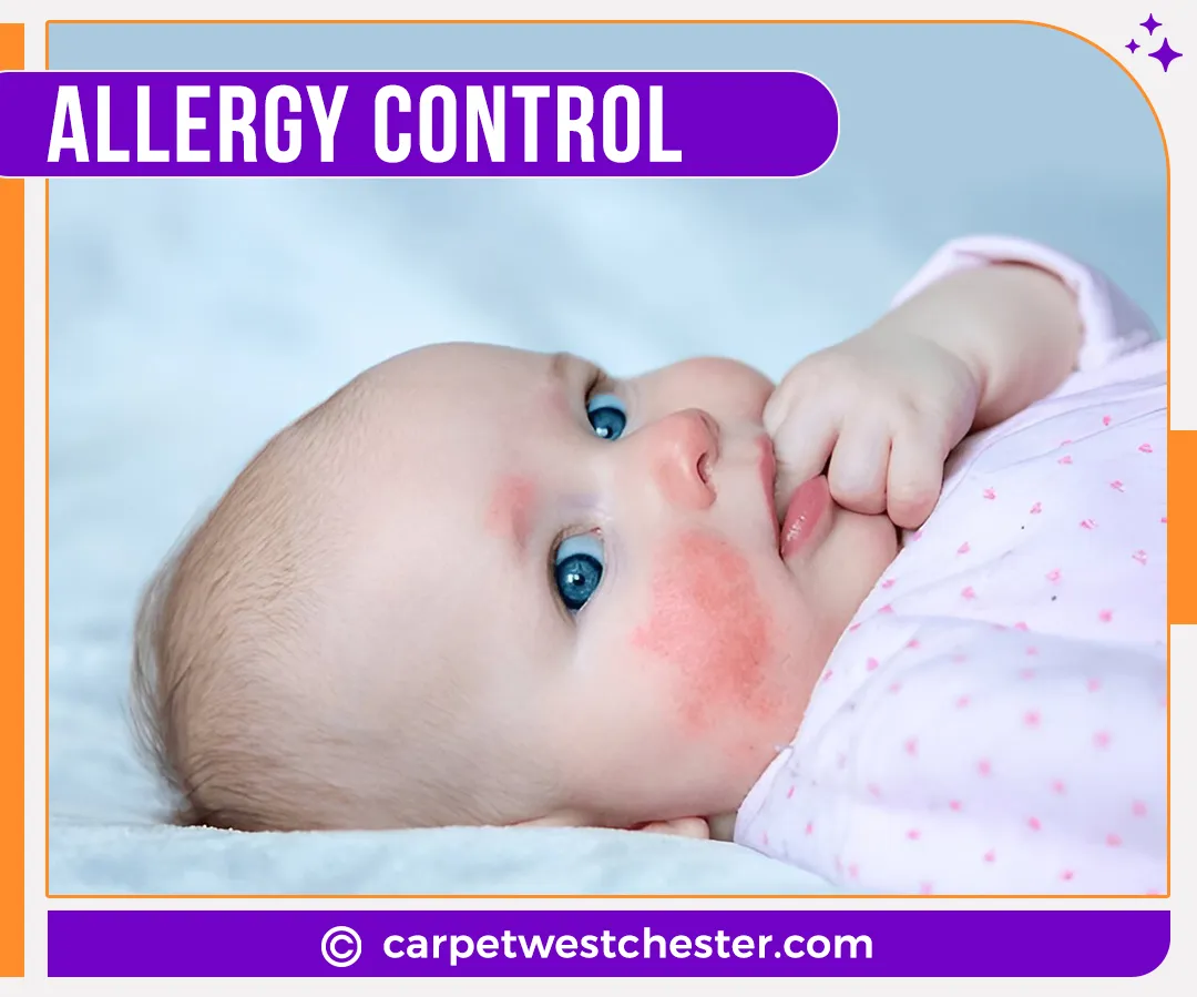 carpet cleaning in Westchester, carpet cleaning in the Westchester, carpet cleaning Westchester, carpet cleaners in Westchester, carpet cleaners in the Westchester, commercial carpet cleaning, commercial carpet cleaning in Westchester, Westchester rug cleaners, rug cleaning services in Westchester, same day carpet cleaning, same day rug cleaning