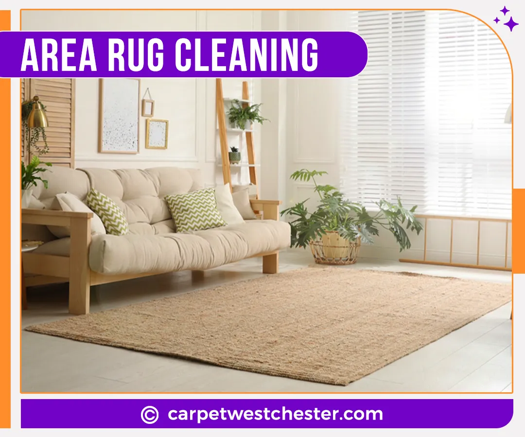 carpet cleaning in Westchester, carpet cleaning in the Westchester, carpet cleaning Westchester, carpet cleaners in Westchester, carpet cleaners in the Westchester, commercial carpet cleaning, commercial carpet cleaning in Westchester, Westchester rug cleaners, rug cleaning services in Westchester, same day carpet cleaning, same day rug cleaning